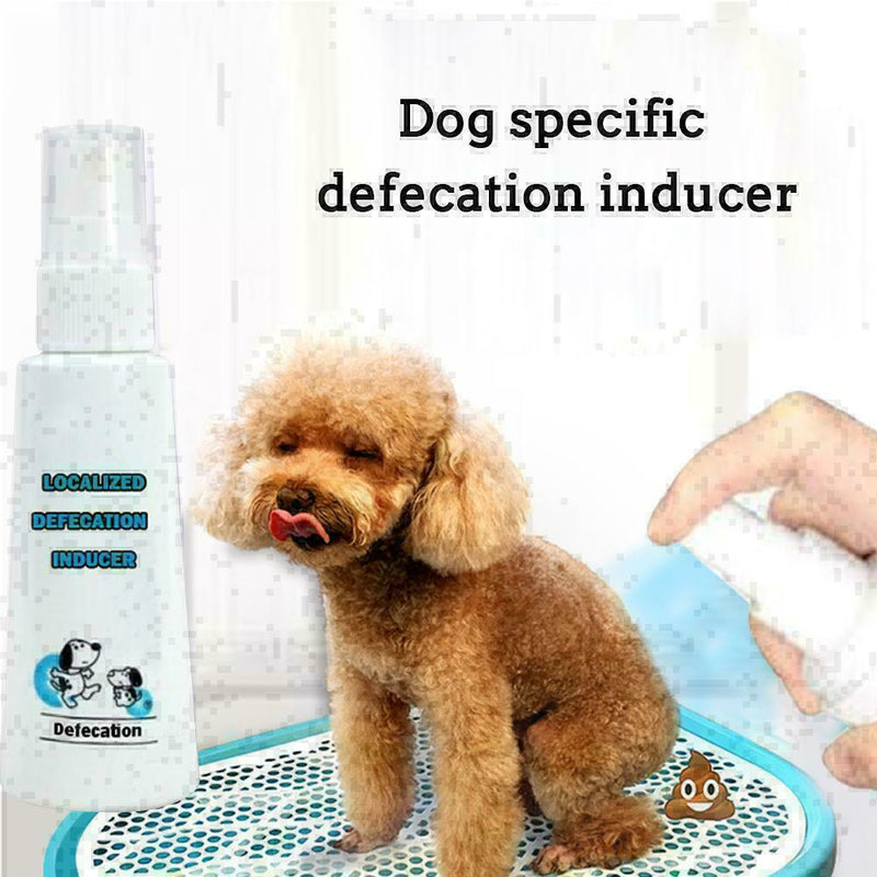 Dog Potty Training Aid Puppy Cat Pet Toilet Training Spray Practical Y7Z5 Y N9E9