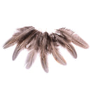 50pcs/set pheasant feathers 5-10cm chicken plumes for carnival diy craft decor U