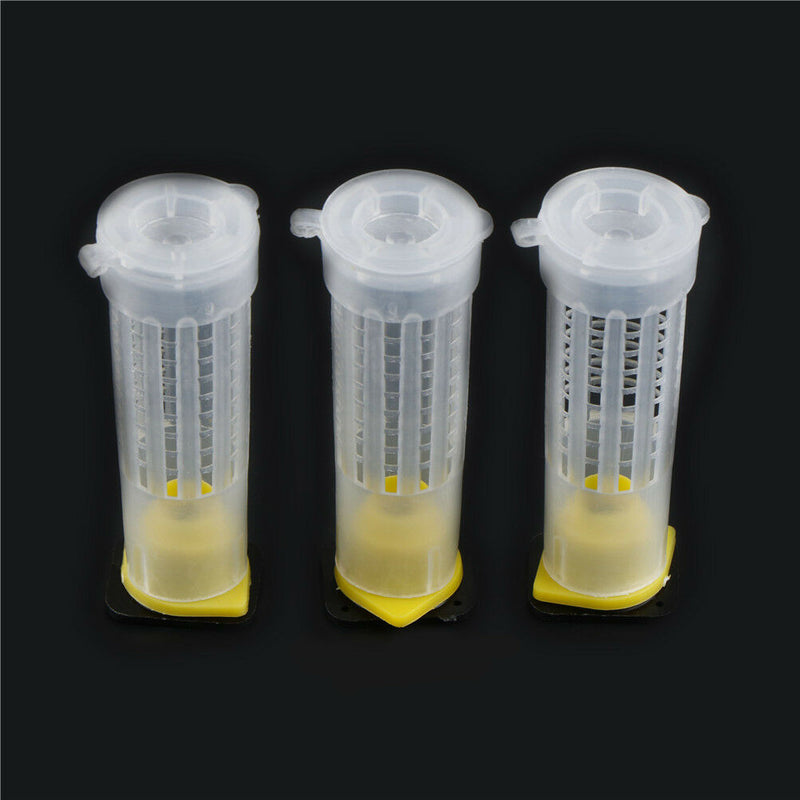 10X Beekeeping Rearing Cup Kit Bee Queen Cages Roller Beekeeper Equipm Ew