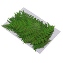 12Pcs Pressed Leaves Dried Flowers for Scrapbook Card Art Craft DIY Material
