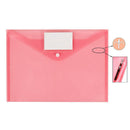 25 Pack Plastic Clear Document Folder with Label Pocket/Snap Button Closure