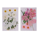 2Set Pressed Leaves Natural Dried Flower Embellishment For Scrapbook Card Making
