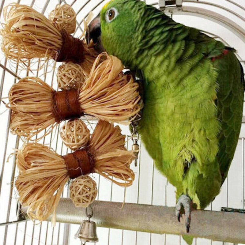 Pet Parrot Conure Cockatiel Parakeet Budgie Bird Chew Bites Swing Cages Toys