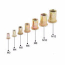 165PCS Nutserts Rivet Nuts Flange Rivnuts Zinc Plated Steel Nutsert M3-M RNL