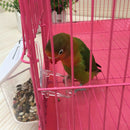 5pcs Starling Tiger Skin Peony Finch Small Birds Parrots Food Feeding Container