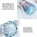Nordic Style Transparent Minimalist Hydroponics Glass Flower Vases Flower