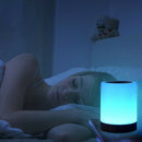 Night Light, Touch Lamp for Bedrooms Living Room Portable Table Bedside Lam