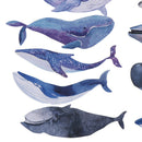 30pcs/box Whale Fish paper bookmark stationery book holder message c MO