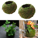 2pcs Naturally Green Moss Ball Flowerpot Plant Holder Garden Ornament Holiday