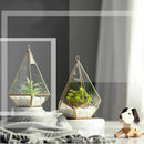 Decorative Crystal Tranparent Flower Glass Vase Geometric Shape Fashion Orn