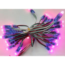 50Pcs Lights WS2811 Waterproof RGB LED String Lights LED Strip Garden DS Ew