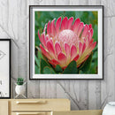 5D DIY Diamond Painting Flower Full Round Drill Embroidery Wall Art (QF314) A