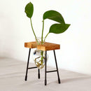 Test Tube Flower Vase ChairWooden Stand for Hydroponic Plant 3 Bottle