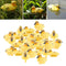 30PCS Outdoors Floating Duck Hunting Duck Garden Ornaments Decoys 5 Inch