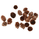 20pcs Pine Cones Party Decor Living Room Ornament Festival Favors