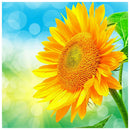 Flower 5D Diamond Painting Full Round Drill DIY Rhinestone Picture (LG556)
