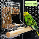 Pet Parrot Automatic Transparent Feeder Birds Splash-proof Food Dispenser