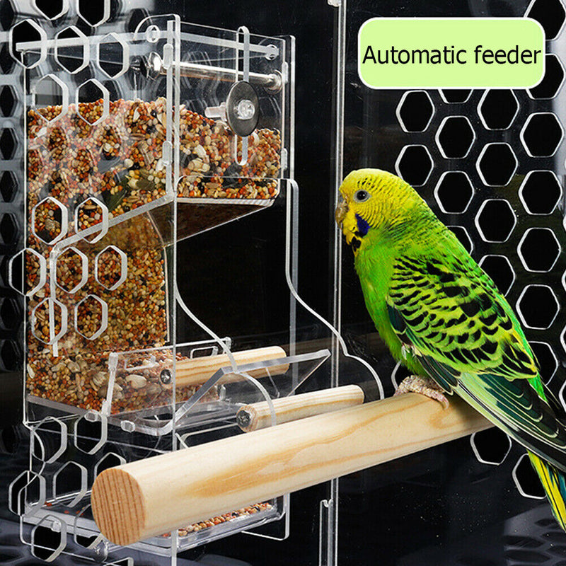 Pet Parrot Automatic Transparent Feeder Birds Splash-proof Food Dispenser