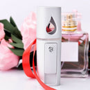 L2 Mini Nano Facial Mister with Top Mirror Handy Cool Mist Sprayer (White)