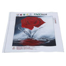 5D DIY cross stitch diamond painting home decoration 30 * 30 cm, water Rose T3S6