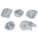 Natural Raw Blue Celestite Crystal Quartz Cluster Geode Specimen Home De IO FT