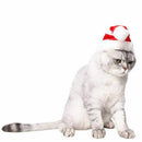 Christmas Cute Set Cat Puppy Red Hat With Muffler Fashion Gift stripe