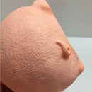 1X(Fashion Pig Piggy Bank Decoration Home Living Room Bedroom Shatterproof