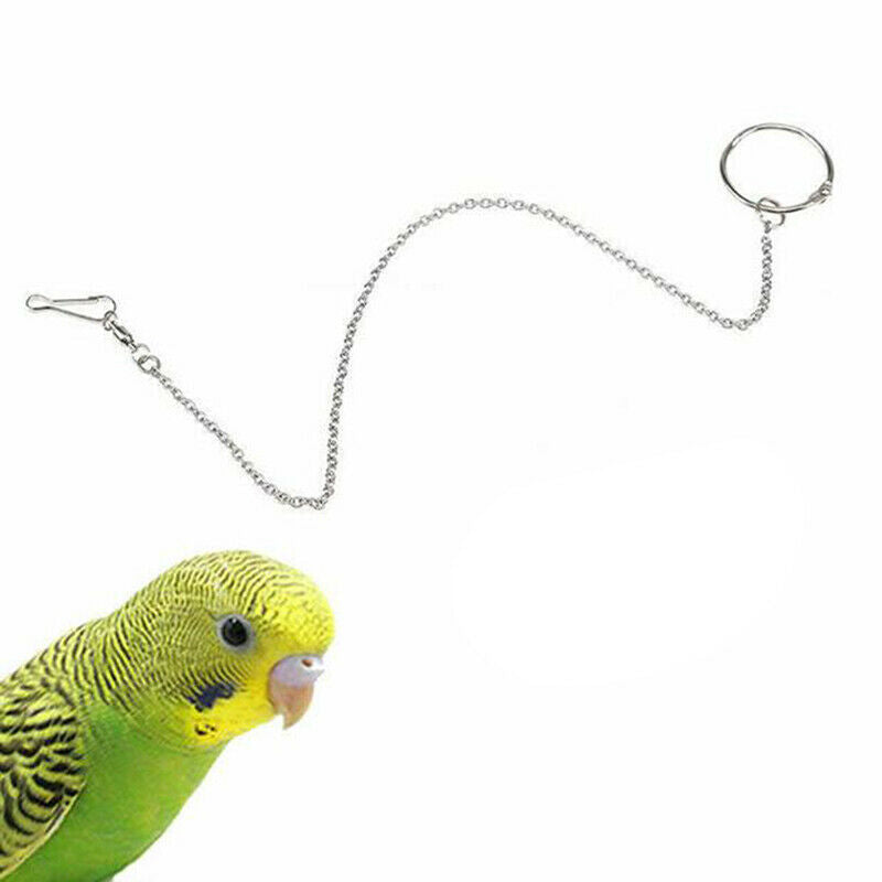 Parrot Leg Ring Ankle Foot Chain Bird Outdoor Flying Training Activity Stand JR