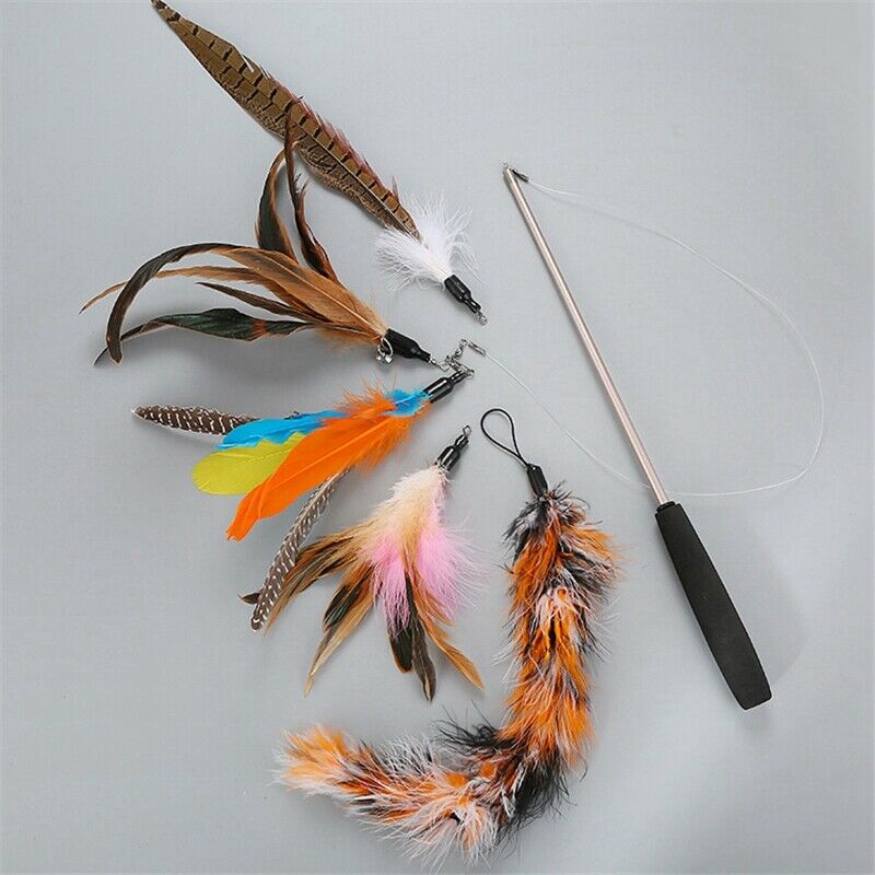 Katten Speelgoed Funny Set Fishing Rod Retractable Feathers Make 5 Replaced J4N3