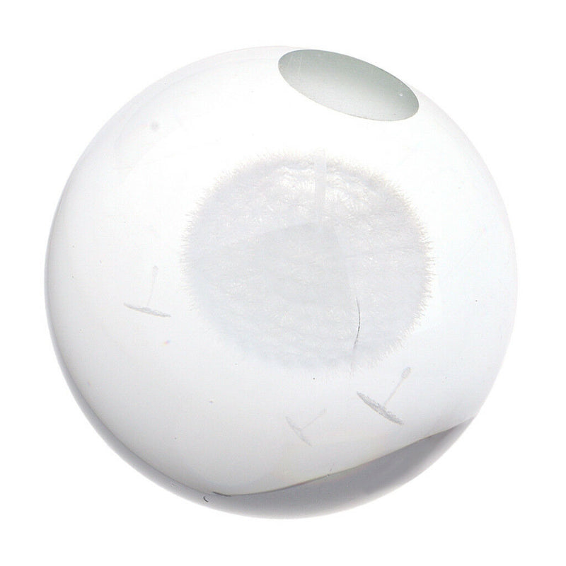 60mm Inner Carving Dandelion Crystal Ball Paperweight Fengshui Home Decor