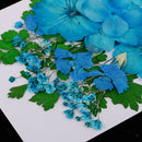 5 Kinds Flowers Natural Pressed Dried Flowers Pressed Leaves For Scrapbooking