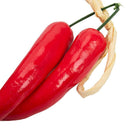 Best Artificial Chilli String Hot Peppers Hanging String Home Decor Vegetab R9C9