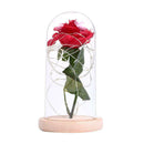 Rose 20 LED String Light Glass Dome Night Lamp Party Home Decor (Beige Base