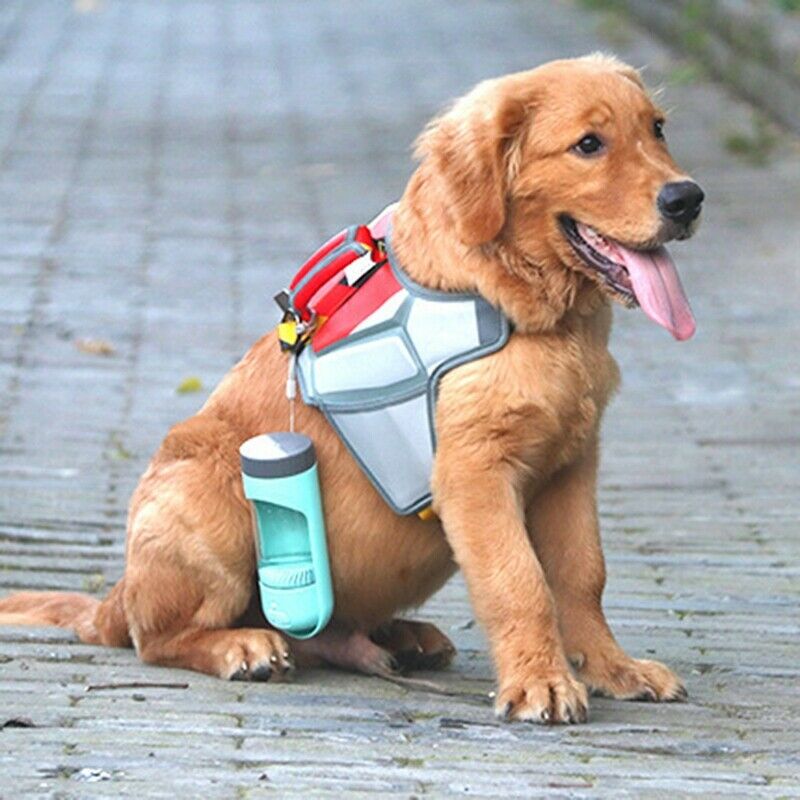 Portable Pet Dog Water Bottle for Small Large Dogs Pet Product Travel Puppy
