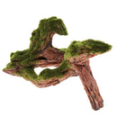 2x Plants Driftwood Natural Wood Trunk Fish Tank Aquarium Micro Landscape