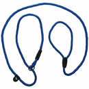 Strong Nylon Pet Dog Lead Puppy Walking Slip Collar Rope Strap Training Lea