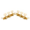 Classical Guitar String Button Three Connections Tuning Pegs