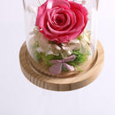 Glass Display Cloche Bell Jar Dome Flower Immortal Preservation Vase Bird