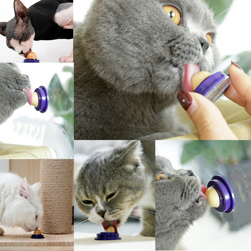 Cat snacks catnip sugar candy licking solid nutrition energy ball toys healthysp