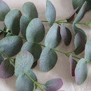 Artificial Eucalyptus Leaves, Eucalyptus Wreath Branch Stems