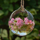5xFlower Plant Hanging Clear Glass Vase Bottle Pot Wedding Garden Ball Decor