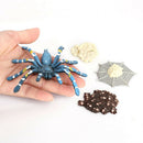 Realistic Plastic Bird Eating Spider 4 Stage Growth Life Cycle Kid