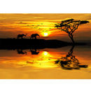 Full Drill Round Diamond Painting Kit DIY Twilight Elephant for Room Decor