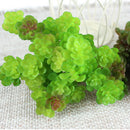 2pcs Artificial Plastic Simulation Succulent Plants Micro Landscape Decor