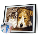 DIY Digital Oil Painting By Numbers Staying Dog Cat Acrylic Animal Picture