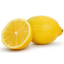 10pcs Lemon bonsai lemon Tree Fruit Tree Garden Courtyard fruit plants OZ