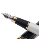 Jinhao 500 Writing Iridium Pen Golden eagle Fountain pen Pen tip 0.5mm Silv