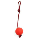 Indestructible Dog Ball on a Rope for Pet Puppy Toys Tug Balls Pet Chew Toys Z