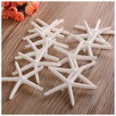 12pcs 10-12cm Beautiful White Finger Starfish Beach Wedding House Crafts De