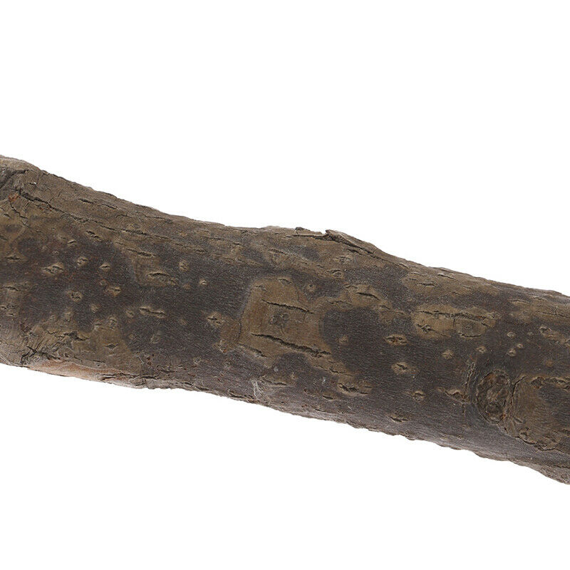 Pet Parrot Bird Standing Stick Birdcage Stand Pole Perch Bite Claw Grinding T_